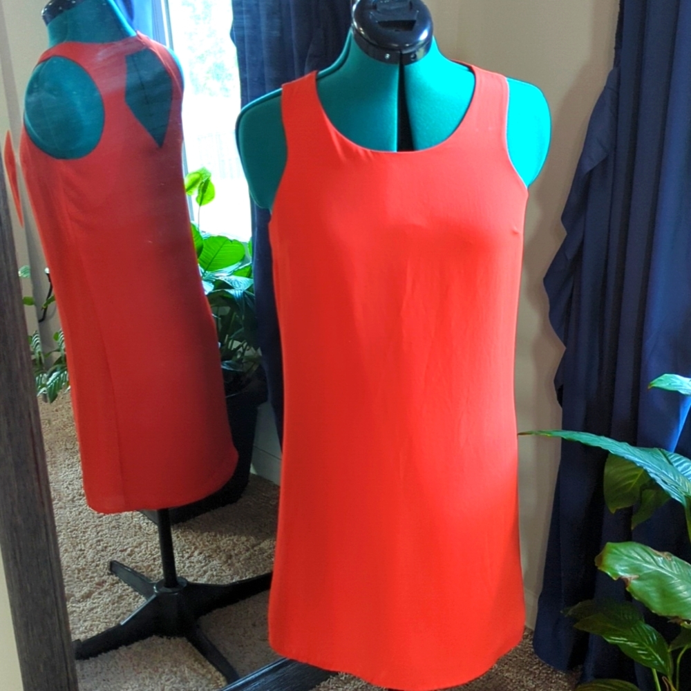 Size small Pink Republic Dress